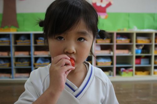 s-IMG 2037