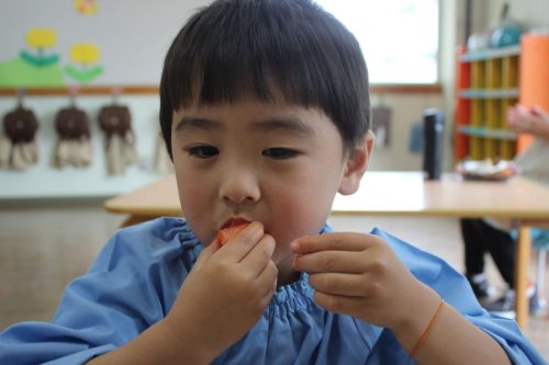 s-IMG 2063