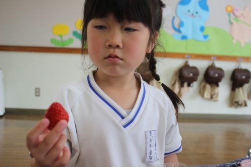 s-IMG 2099