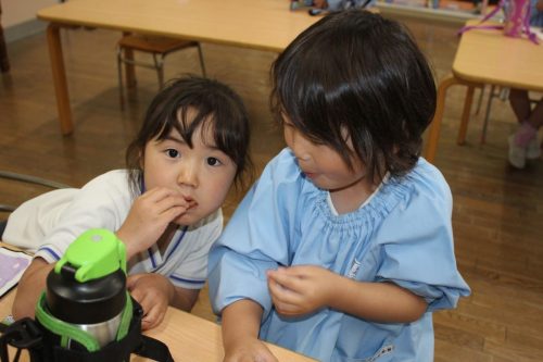 s-IMG 2451