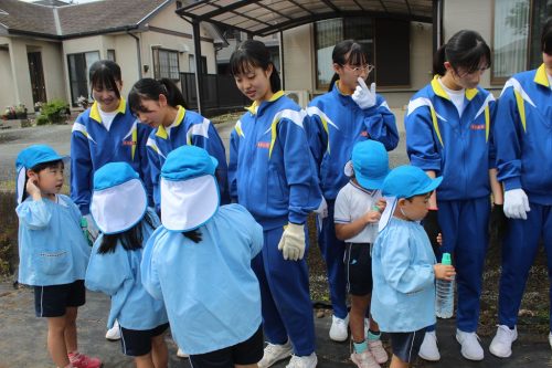 s-IMG 2467