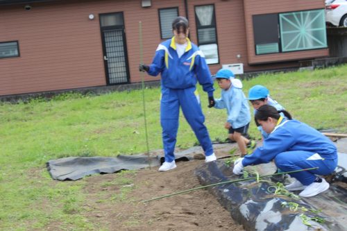s-IMG 2521