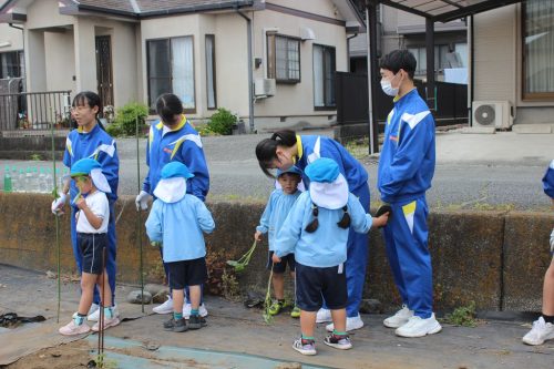 s-IMG 2528