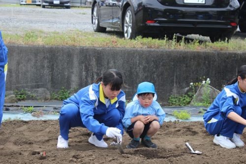s-IMG 2535