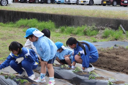 s-IMG 2540