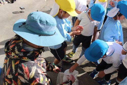 11月14日 チューリップ植えたよ