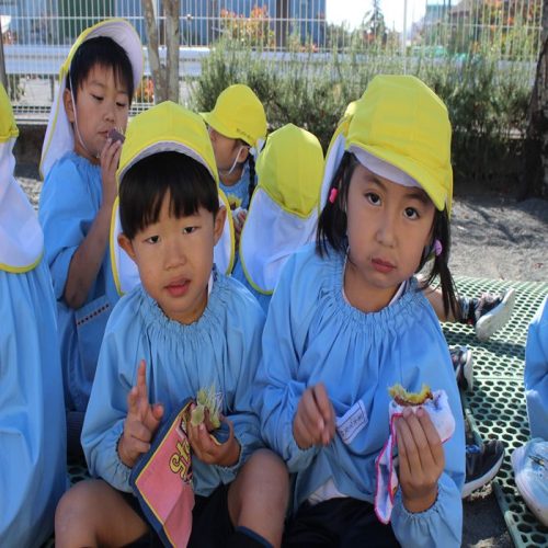 【追加掲載】11月21日 焼き芋