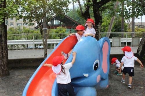 s-IMG 2565