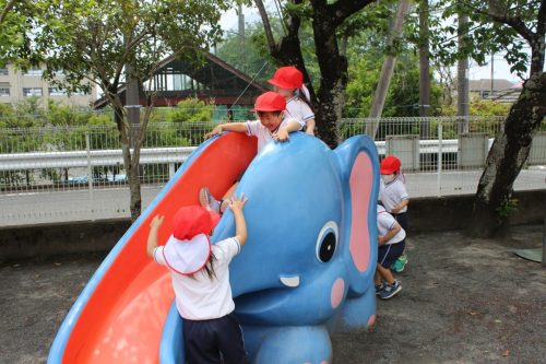 s-IMG 2569