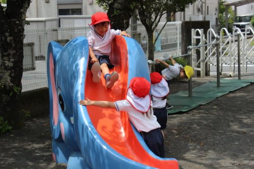 s-IMG 2575