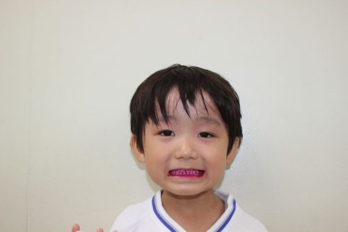 s-IMG 2790