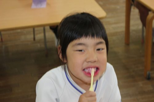 s-IMG 2849