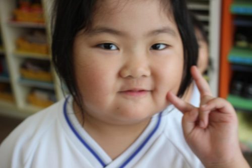 s-IMG 3737
