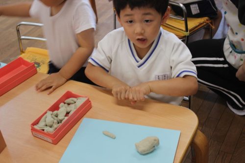 s-IMG 5045