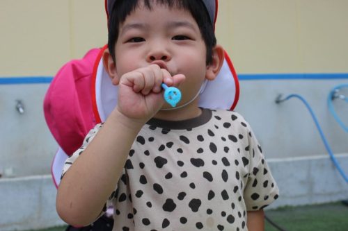 s-IMG 6845