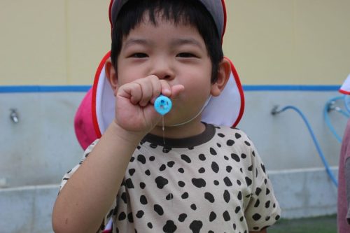 s-IMG 6846