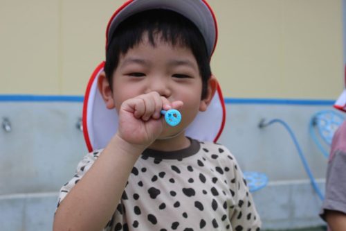 s-IMG 6847