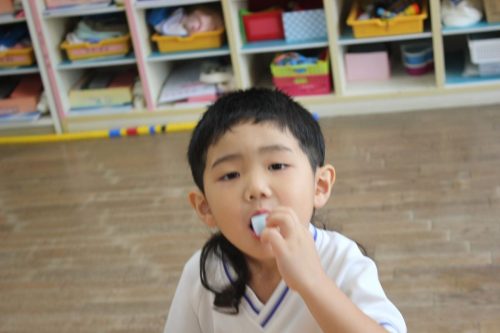 s-IMG 8347