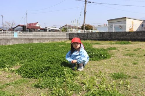 s-IMG 7567