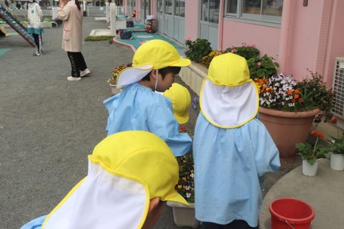 s-IMG 7674