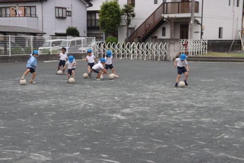 s-IMG 7931