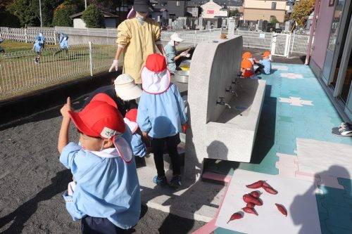 11.18 お芋を洗ったよ 芝生遊び