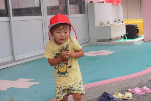 s-IMG 0856
