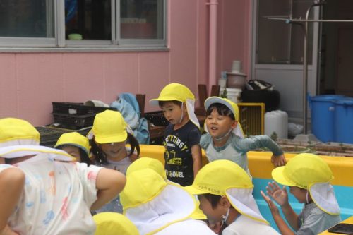 s-IMG 1993